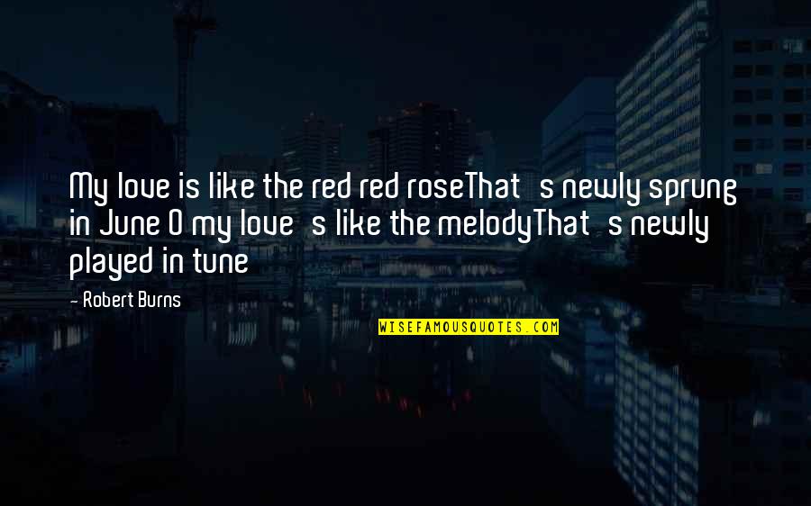 I'm Not Sprung Quotes By Robert Burns: My love is like the red red roseThat's