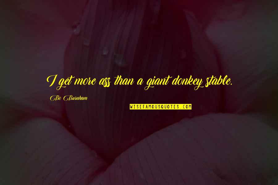 I'm Not Stable Quotes By Bo Burnham: I get more ass than a giant donkey