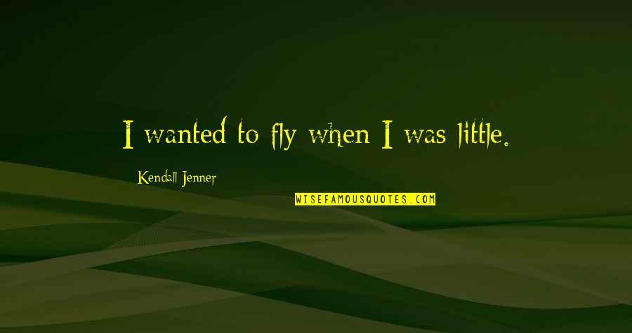 I'm Not The Same Person Anymore Quotes By Kendall Jenner: I wanted to fly when I was little.