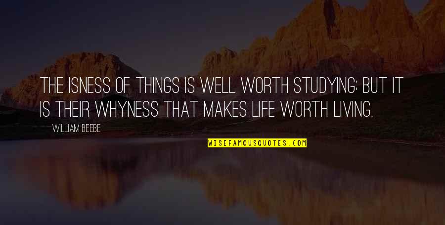 I'm Not Worth Living Quotes By William Beebe: The isness of things is well worth studying;