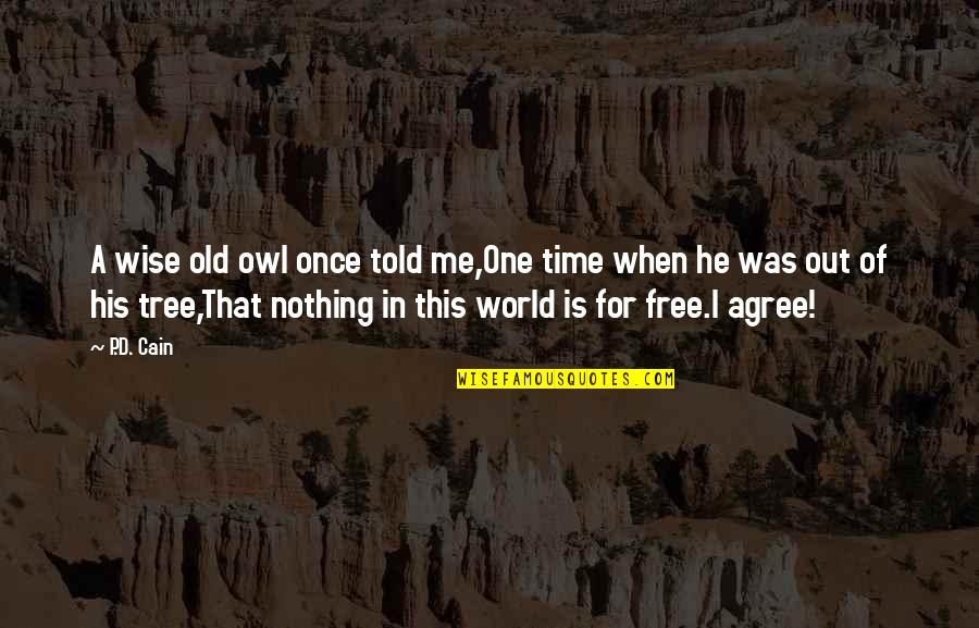 I'm Nothing In This World Quotes By P.D. Cain: A wise old owl once told me,One time