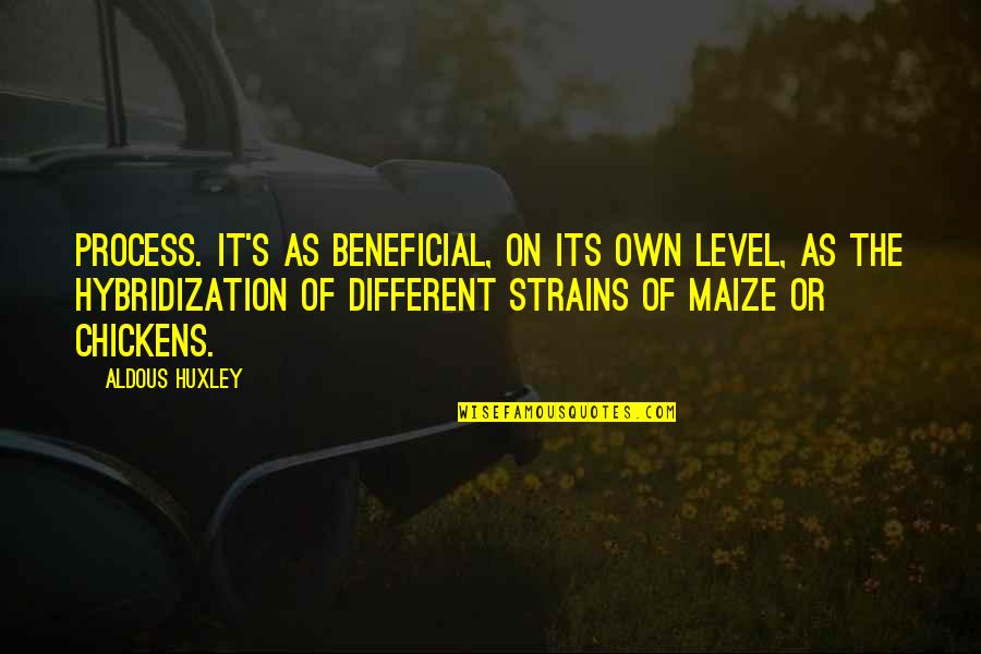 I'm On A Different Level Quotes By Aldous Huxley: Process. It's as beneficial, on its own level,