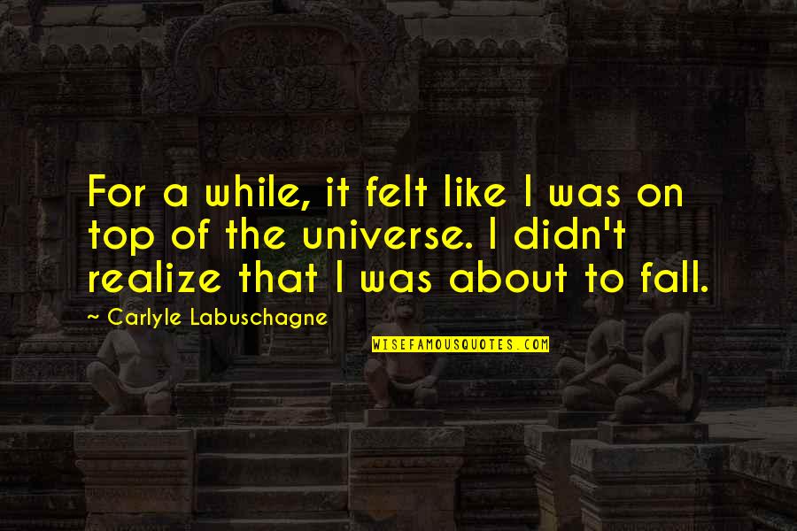 I'm On Top Quotes By Carlyle Labuschagne: For a while, it felt like I was