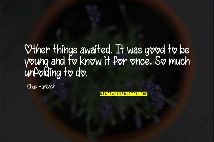 I'm Only Young Once Quotes By Chad Harbach: Other things awaited. It was good to be