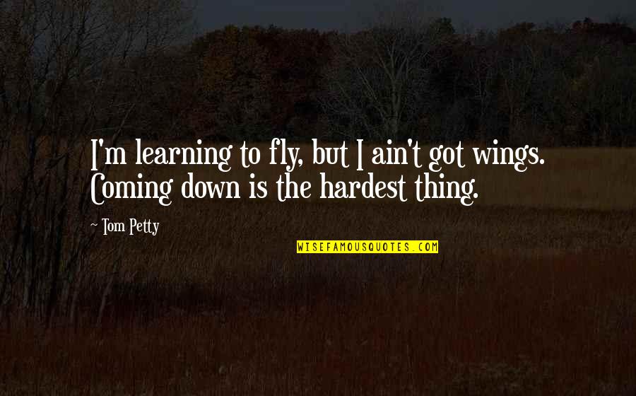 I'm Petty Quotes By Tom Petty: I'm learning to fly, but I ain't got