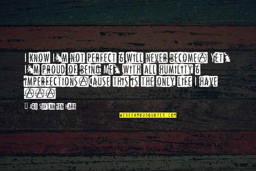 I'm Proud Of Me Quotes By Abu Sufyan Ibn Harb: I know I'm not perfect & will never I'm Proud Of Me Quotes By Abu Sufyan Ibn Harb: I know I'm not perfect & will never