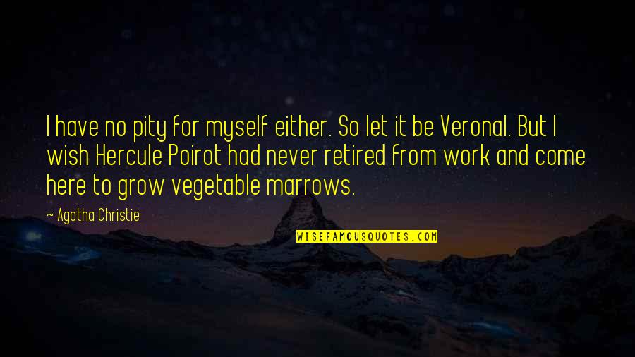 I'm Retired Quotes By Agatha Christie: I have no pity for myself either. So I'm Retired Quotes By Agatha Christie: I have no pity for myself either. So