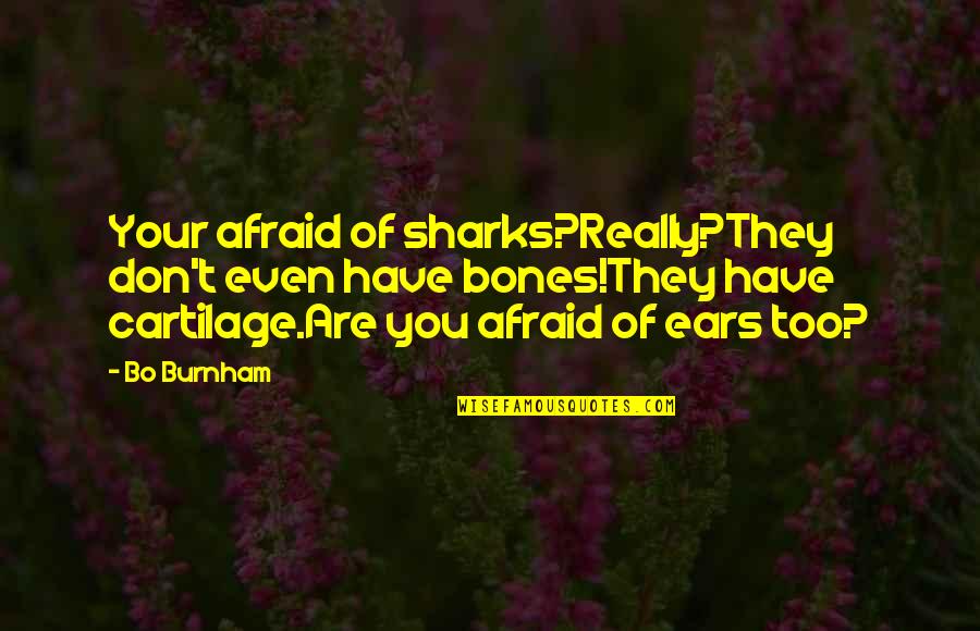 I'm Scared To Get Hurt Quotes By Bo Burnham: Your afraid of sharks?Really?They don't even have bones!They