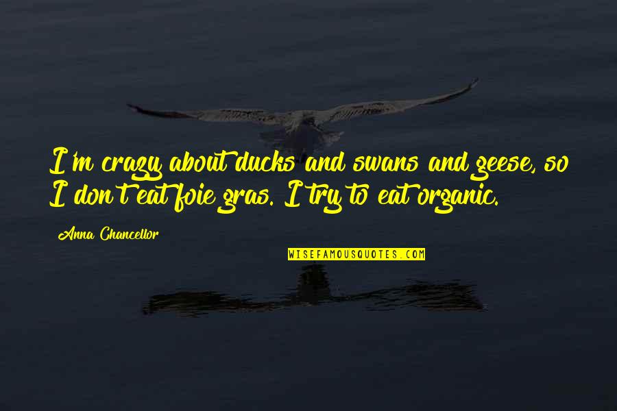 I'm So Crazy Quotes By Anna Chancellor: I'm crazy about ducks and swans and geese, I'm So Crazy Quotes By Anna Chancellor: I'm crazy about ducks and swans and geese,
