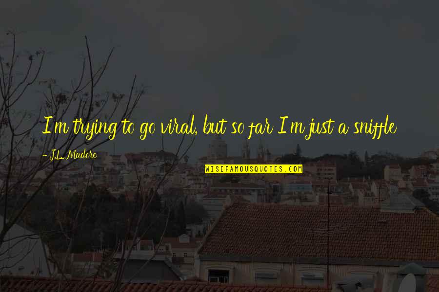I'm So Hot Quotes By J.L. Madore: I'm trying to go viral, but so far I'm So Hot Quotes By J.L. Madore: I'm trying to go viral, but so far