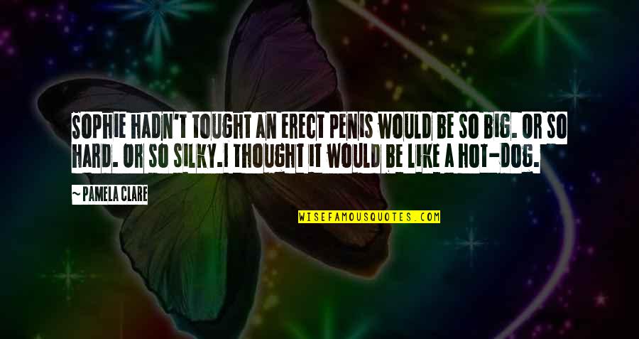 I'm So Hot Quotes By Pamela Clare: Sophie hadn't tought an erect penis would be I'm So Hot Quotes By Pamela Clare: Sophie hadn't tought an erect penis would be