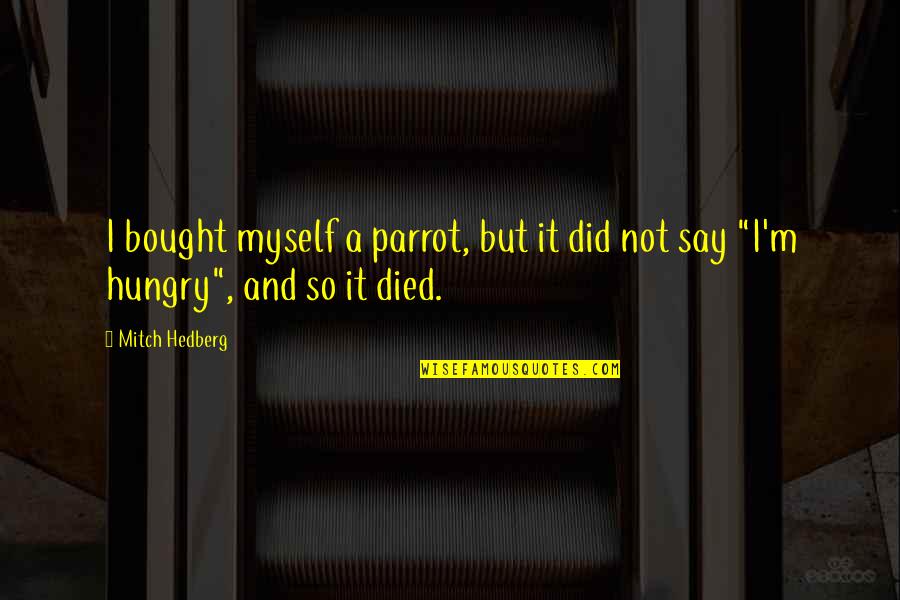 I'm So Hungry Funny Quotes By Mitch Hedberg: I bought myself a parrot, but it did