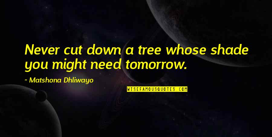 I'm Sorry For What I Did Quotes By Matshona Dhliwayo: Never cut down a tree whose shade you