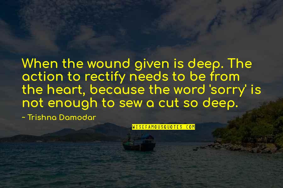 I'm Sorry From The Heart Quotes By Trishna Damodar: When the wound given is deep. The action