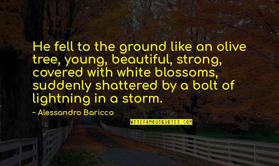 I'm Strong And Beautiful Quotes By Alessandro Baricco: He fell to the ground like an olive