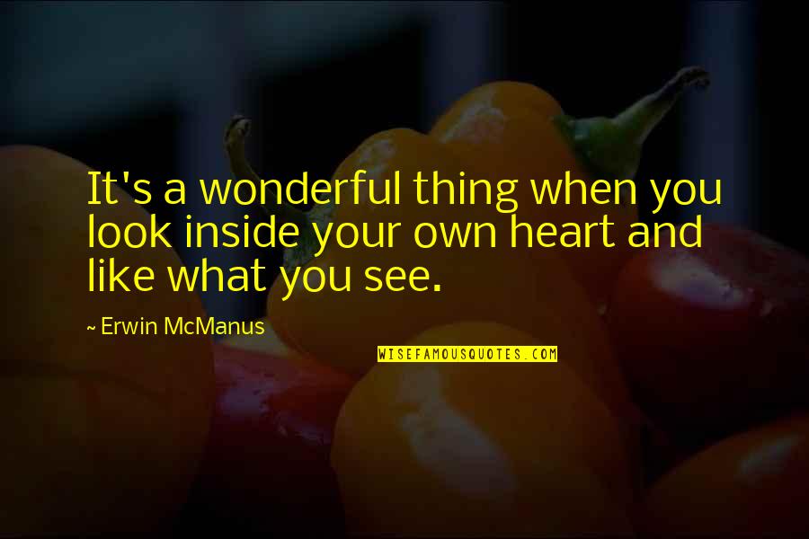 Im Taken Quotes By Erwin McManus: It's a wonderful thing when you look inside