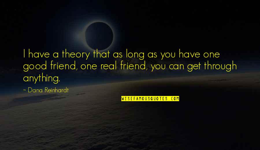 I'm That One Friend Quotes By Dana Reinhardt: I have a theory that as long as