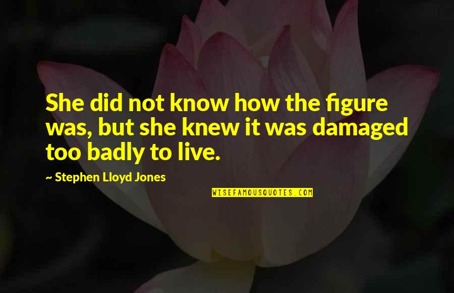 I'm Too Damaged Quotes By Stephen Lloyd Jones: She did not know how the figure was,