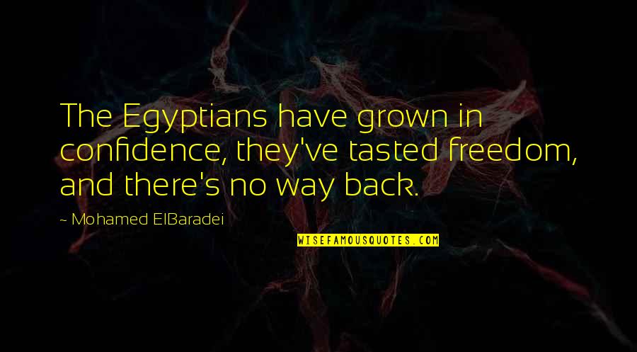 I'm Too Grown Quotes By Mohamed ElBaradei: The Egyptians have grown in confidence, they've tasted I'm Too Grown Quotes By Mohamed ElBaradei: The Egyptians have grown in confidence, they've tasted