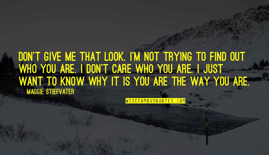 I'm Trying Not To Care Quotes By Maggie Stiefvater: Don't give me that look. I'm not trying