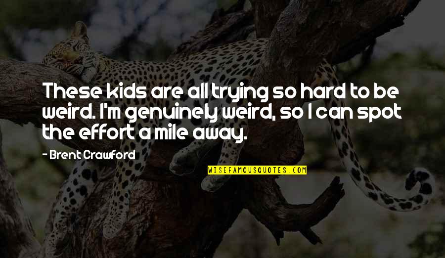 I'm Trying So Hard Quotes By Brent Crawford: These kids are all trying so hard to I'm Trying So Hard Quotes By Brent Crawford: These kids are all trying so hard to