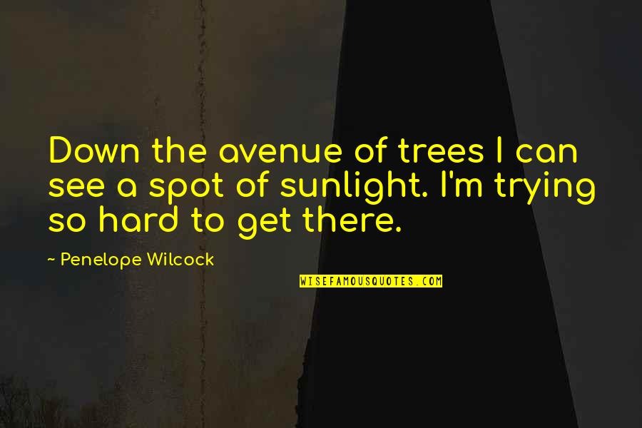I'm Trying So Hard Quotes By Penelope Wilcock: Down the avenue of trees I can see