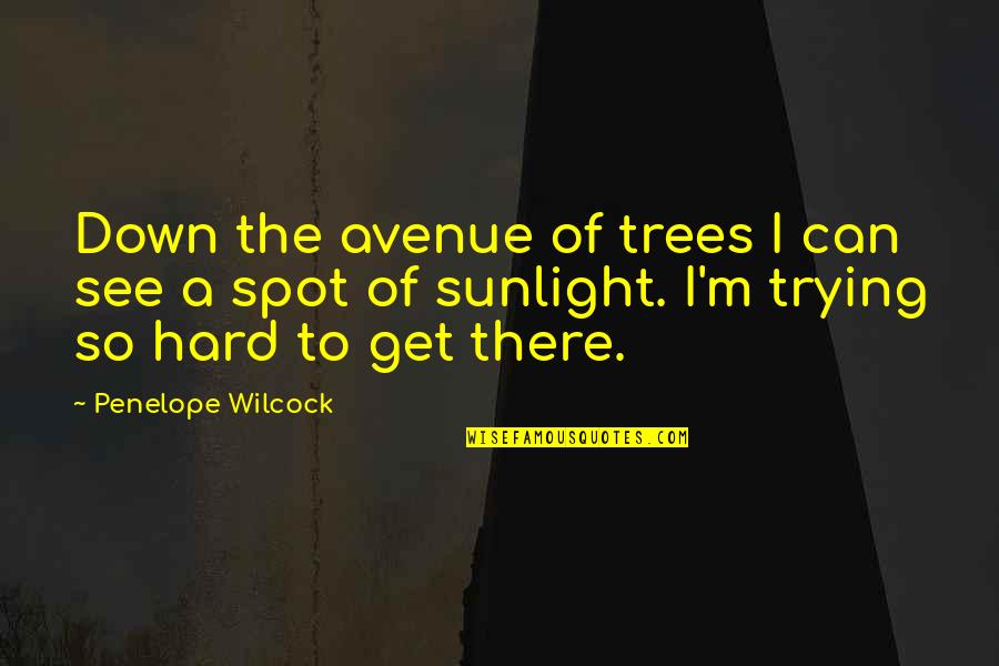 I'm Trying So Hard Quotes By Penelope Wilcock: Down the avenue of trees I can see I'm Trying So Hard Quotes By Penelope Wilcock: Down the avenue of trees I can see