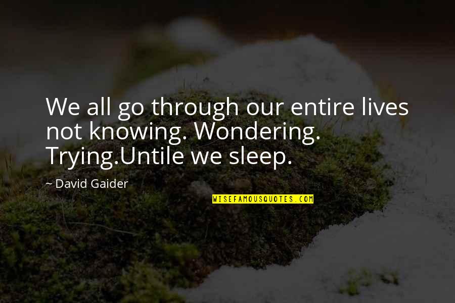 I'm Trying To Sleep Quotes By David Gaider: We all go through our entire lives not