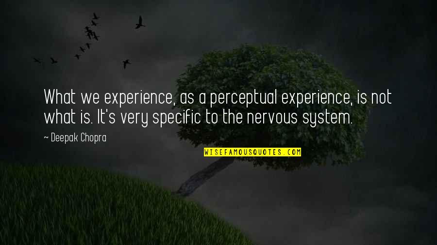 I'm Turning 40 Quotes By Deepak Chopra: What we experience, as a perceptual experience, is