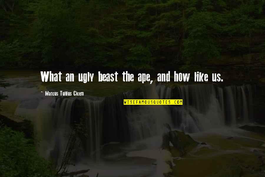 I'm Ugly So What Quotes By Marcus Tullius Cicero: What an ugly beast the ape, and how