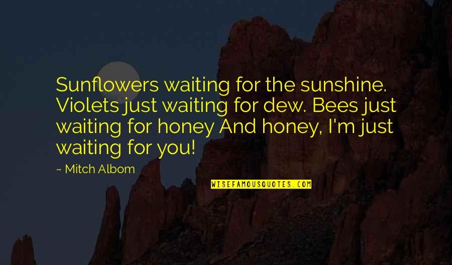 I'm Waiting For Quotes By Mitch Albom: Sunflowers waiting for the sunshine. Violets just waiting