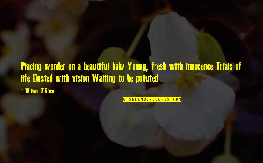 I'm Waiting For You Baby Quotes By William O'Brien: Placing wonder on a beautiful baby Young, fresh I'm Waiting For You Baby Quotes By William O'Brien: Placing wonder on a beautiful baby Young, fresh
