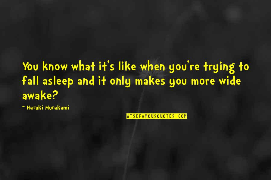 I'm Wide Awake Quotes By Haruki Murakami: You know what it's like when you're trying