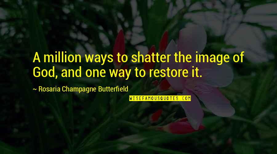 Image Of God Quotes By Rosaria Champagne Butterfield: A million ways to shatter the image of