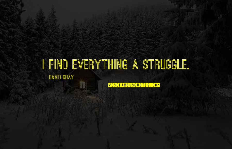 Images Of Hater Quotes By David Gray: I find everything a struggle.