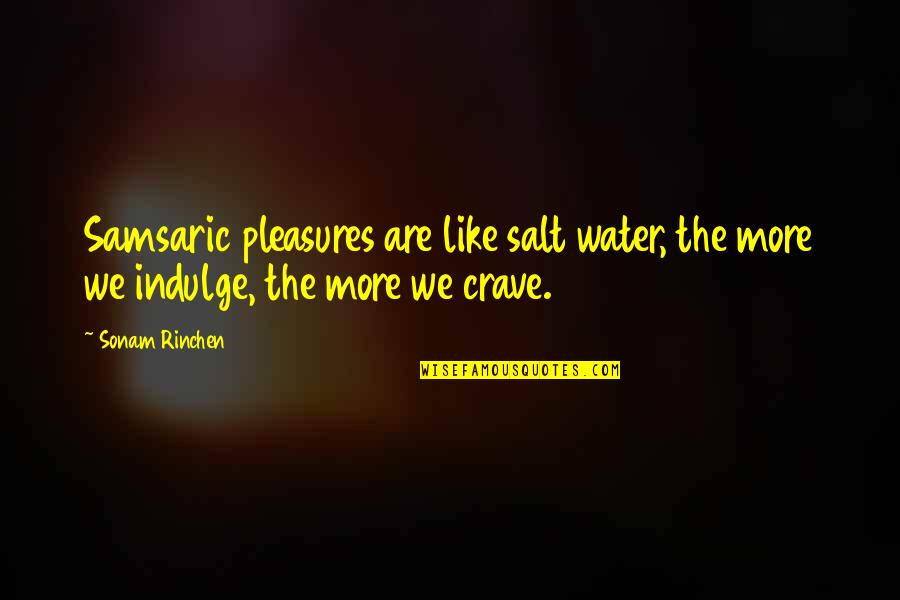 Images Of Life Lessons Quotes By Sonam Rinchen: Samsaric pleasures are like salt water, the more