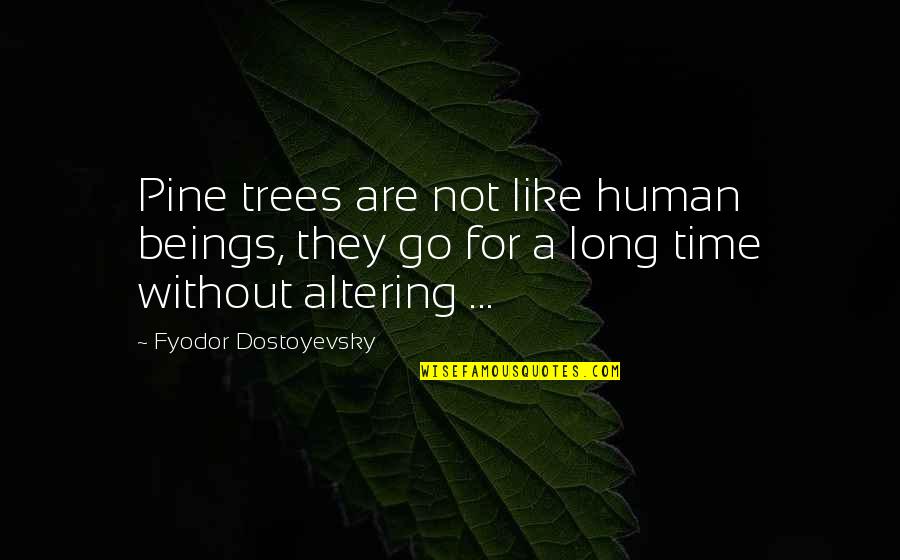 Imaginacion Quotes By Fyodor Dostoyevsky: Pine trees are not like human beings, they