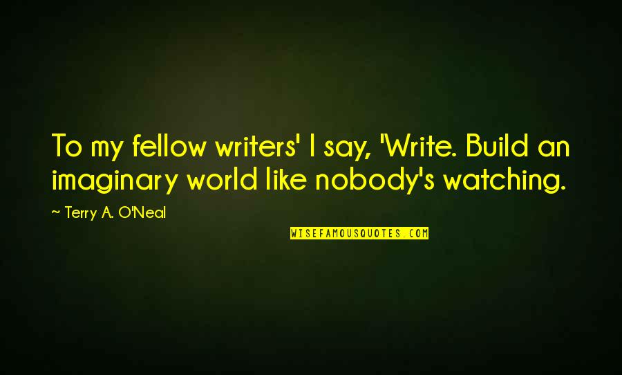 Imaginary Quotes Quotes By Terry A. O'Neal: To my fellow writers' I say, 'Write. Build