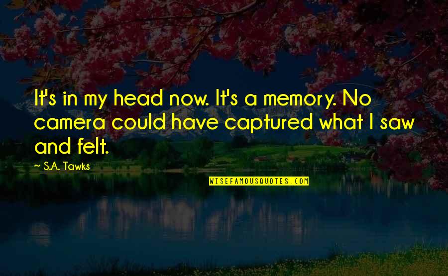 Imagination And Books Quotes By S.A. Tawks: It's in my head now. It's a memory.