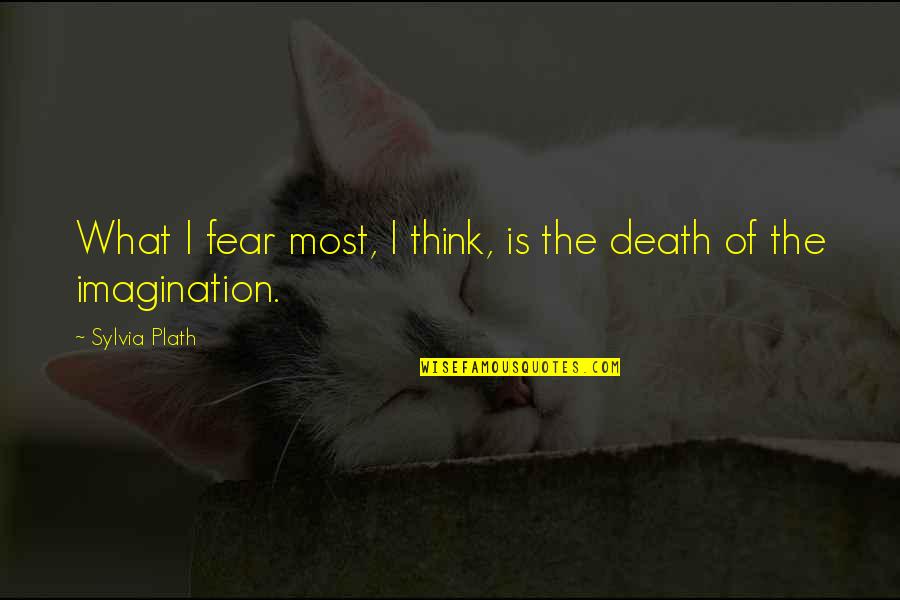 Imagination And Fear Quotes By Sylvia Plath: What I fear most, I think, is the