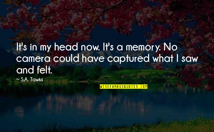 Imagination And Reading Quotes By S.A. Tawks: It's in my head now. It's a memory.