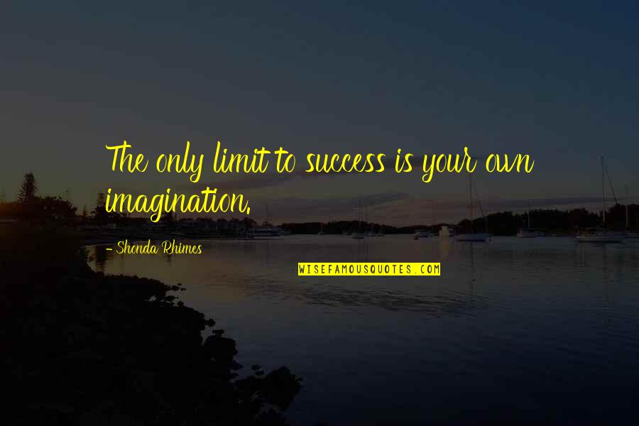 Imagination And Success Quotes By Shonda Rhimes: The only limit to success is your own