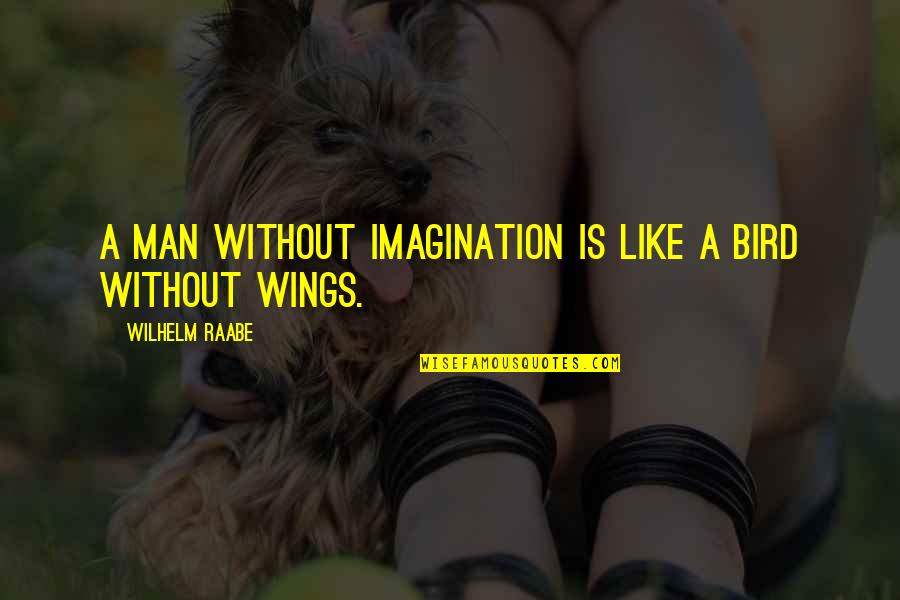 Imagination Creativity Quotes By Wilhelm Raabe: A man without imagination is like a bird