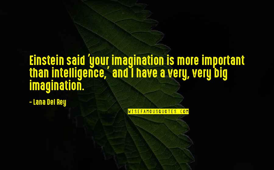 Imagination Is More Important Quotes By Lana Del Rey: Einstein said 'your imagination is more important than