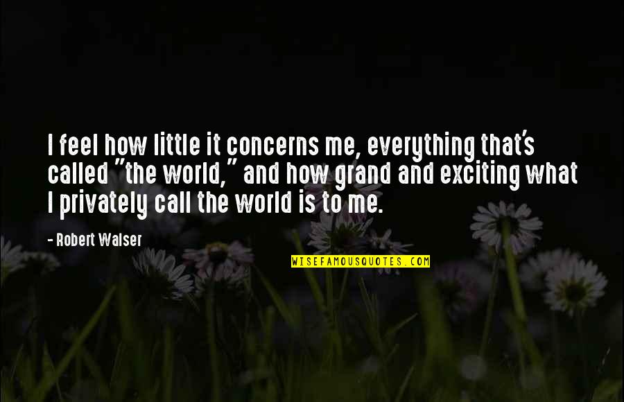 Imagination Life Quotes By Robert Walser: I feel how little it concerns me, everything Imagination Life Quotes By Robert Walser: I feel how little it concerns me, everything