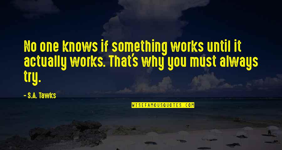 Imagination Reading Quotes By S.A. Tawks: No one knows if something works until it Imagination Reading Quotes By S.A. Tawks: No one knows if something works until it