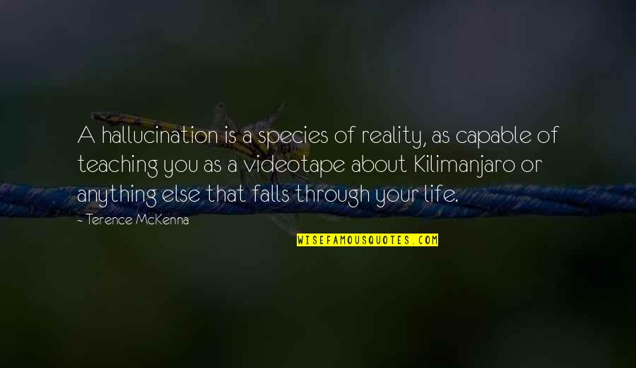 Imagination Reality Quotes By Terence McKenna: A hallucination is a species of reality, as