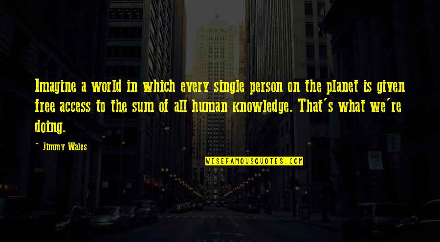 Imagine A World Quotes By Jimmy Wales: Imagine a world in which every single person Imagine A World Quotes By Jimmy Wales: Imagine a world in which every single person