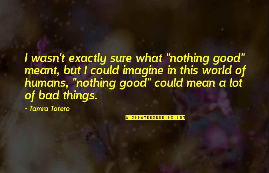 Imagine A World Quotes By Tamra Torero: I wasn't exactly sure what "nothing good" meant, Imagine A World Quotes By Tamra Torero: I wasn't exactly sure what "nothing good" meant,
