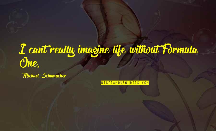 Imagine Life Quotes By Michael Schumacher: I cant really imagine life without Formula One, Imagine Life Quotes By Michael Schumacher: I cant really imagine life without Formula One,